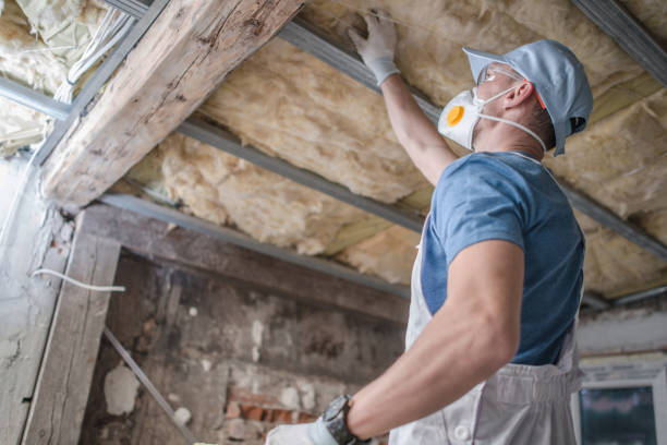 Best Insulation for New Construction  in Forestville, OH